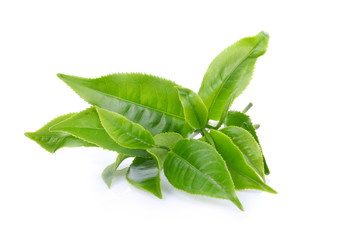 green tea on white background