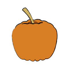 ripe pumpkin harvest vegetable food garden