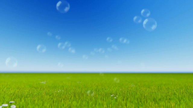 Color Soap bubbles flying over green meadow