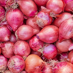 organic red onions closeup, natural background