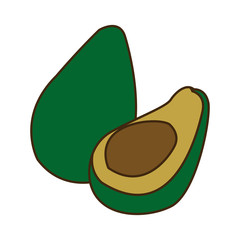 avocado tropical fruit green vitamins