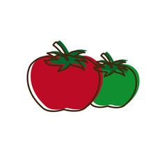 two ripe tomatoes juicy vegetable fresh