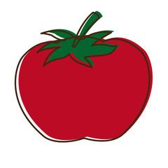 tomato vegetable from the farm organic food