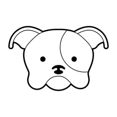 cute dog mascot icon vector illustration design