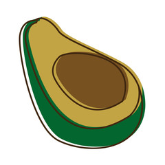 avocado tropical fruit green vitamins