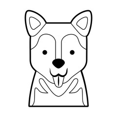 cute dog mascot icon vector illustration design