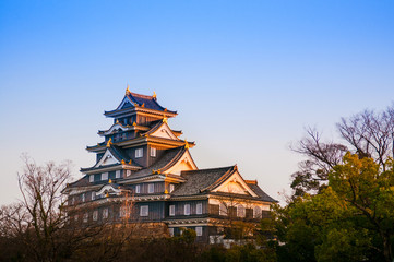 Obraz premium Okayama Castle in early autumn.