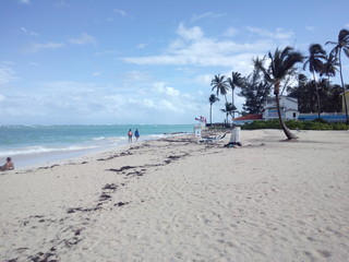 Fototapeta premium a place in Paradise