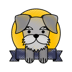 cute dog mascot with ribbon vector illustration design