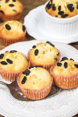 Healthy bran and raisin muffins with chocolate milk,Raisin Muffin