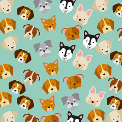 icon set love dogs vector house illustration design graphic