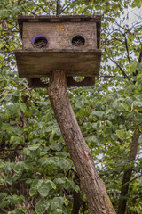 Bird House