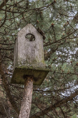 Bird House