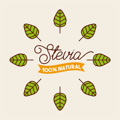 plant stevia natural sweetener icon vector illustration design graphic