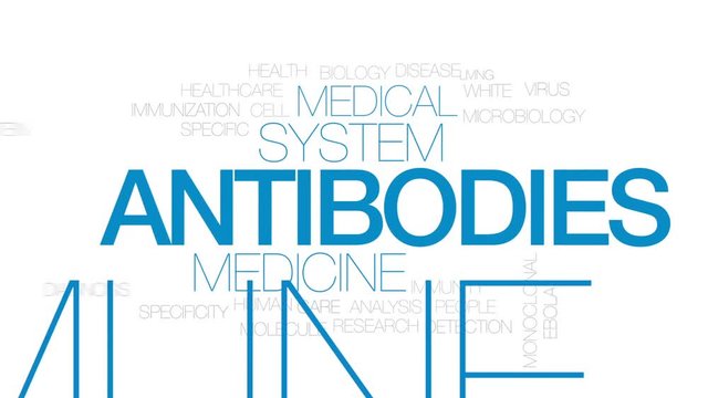 Antibodies animated word cloud, text design animation.