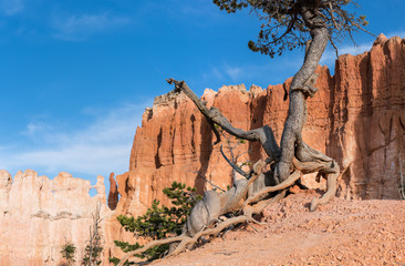 Bryce Canyon