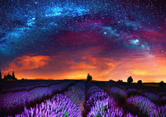 Obrazy  Milky Way over lavender field, France
