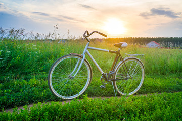 Fototapeta na wymiar Old bicycle in the field against a background of tall grass and beautiful sunset