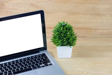 Mock up laptop white display and small plant on wooden table. copy space