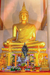 Obraz premium Golden buddha statue in the old church Wat Samanakotaram in Ayutthaya historical park, Thailand. .