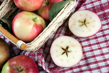 Still life of many apples on a napkin in the basket on a napkin