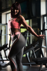Fototapeta na wymiar Young Sexy Fitness Woman Posing In Gym