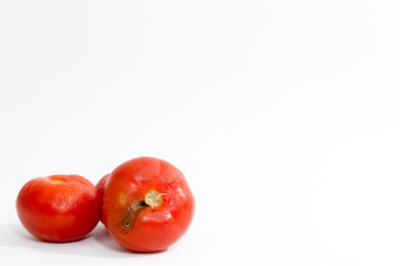 Rotten tomato isolated on white background
