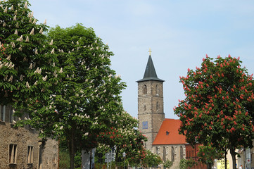 nikolaikirche in bernburg saale talstadt