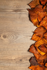 Autumn Leaves frame over wooden background