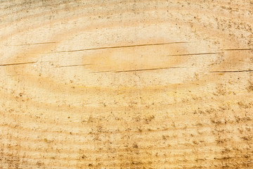 Fototapeta premium Texture wooden background