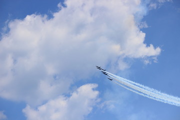 Chicago air and water show