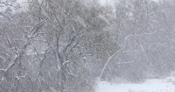 Snow falls during a cold winter blizzard