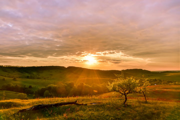 Landscape sunset back light tree hills grass clouds evening