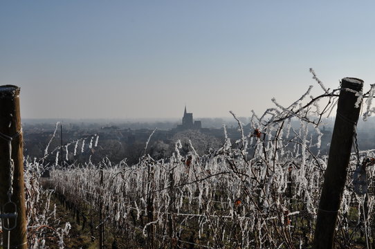 Village viticole sous le gel