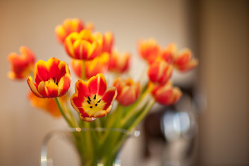 Bouquet of Orange Yellow Tulips in Glass Vase on a Warm Light Background