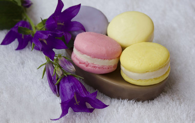 Beauty spa, bath bomb, aroma cosmetic soap with towel, flower branch. Natural aromatherapy ball for care, wellness, health, treatment, hygiene, relaxation. Relax bathroom. Object for luxury therapy