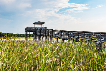 Wooden ramp over marshland leading to the observation point on the grounds of the Bodie Island...