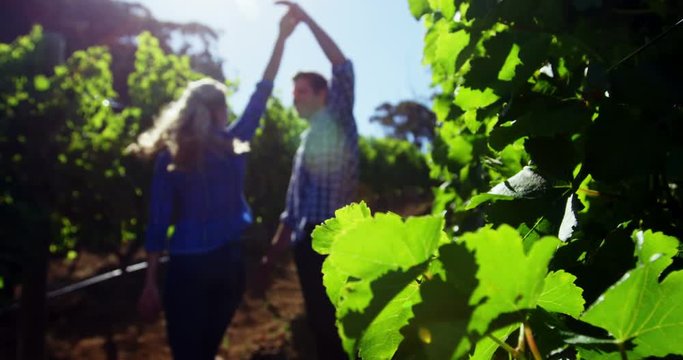 Couple dancing in vineyard