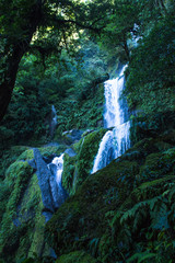 Breo-Paisajes Naturales en la regi&oacute;n San Mart&iacute;n,Per&uacute;