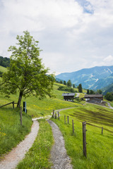 Fototapeta na wymiar Autriche/paysage avec champs et sentier