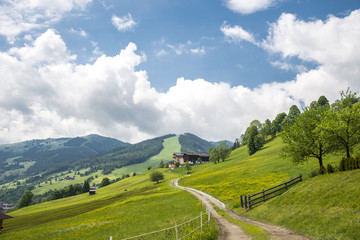 Fototapeta na wymiar Autriche/paysage avec champs et sentier