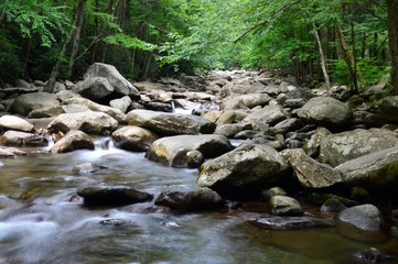 Stream running through the Great Smoky Mountains