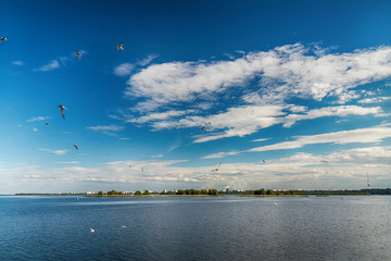 Cityscape and skyline in cloudy sky with gulls on view from river