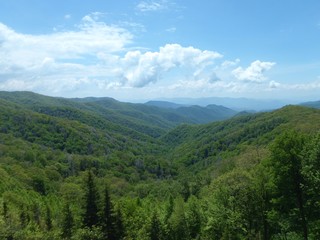 Fototapeta na wymiar The Great Smoky Mountains
