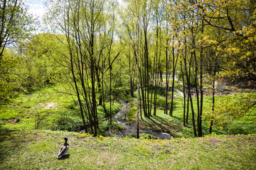 Wild duck on the background of forest and river. Abandoned construction ruins. Nice spring...