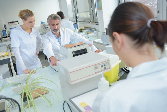 the laboratory interns