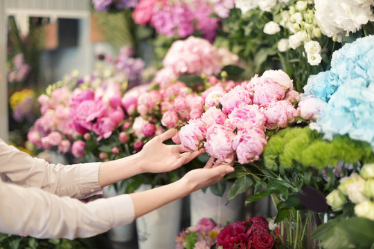Fototapeta Hands of young woman touching beautiful peonies in flower shop