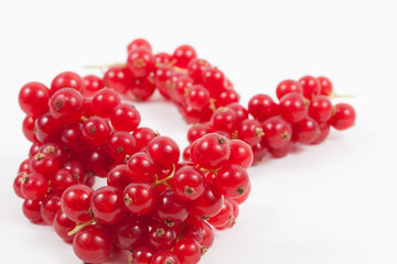 Fresh isolated red currants