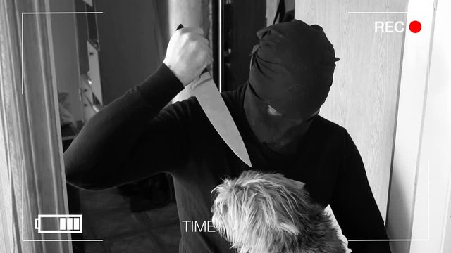 The real surveillance camera photographed and recorded the robber with a knife to get into the house and tries to kill the dog.