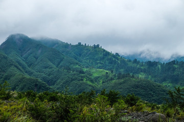Fototapeta na wymiar green slopes of the dangerous Merapi volcano in clouds